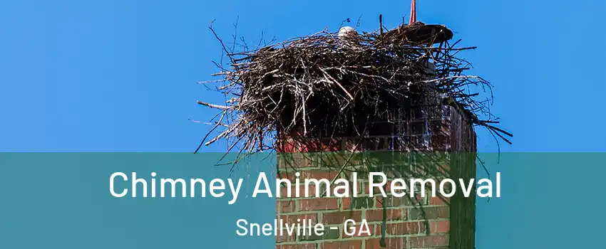  Chimney Animal Removal Snellville - GA