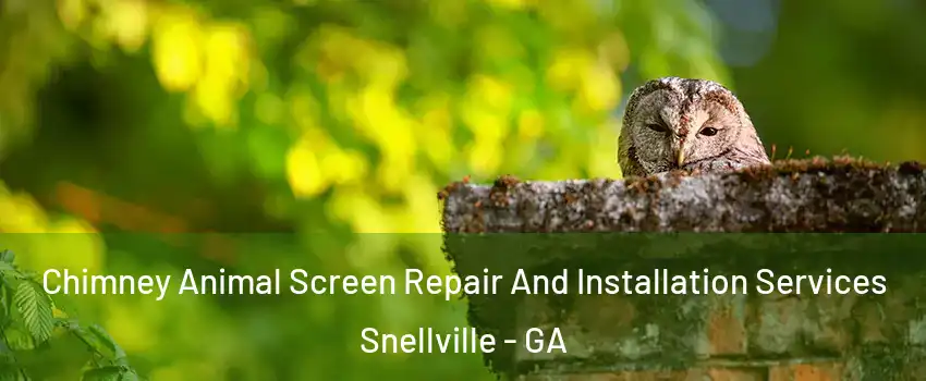  Chimney Animal Screen Repair And Installation Services Snellville - GA