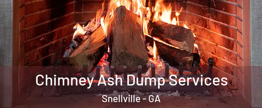  Chimney Ash Dump Services Snellville - GA