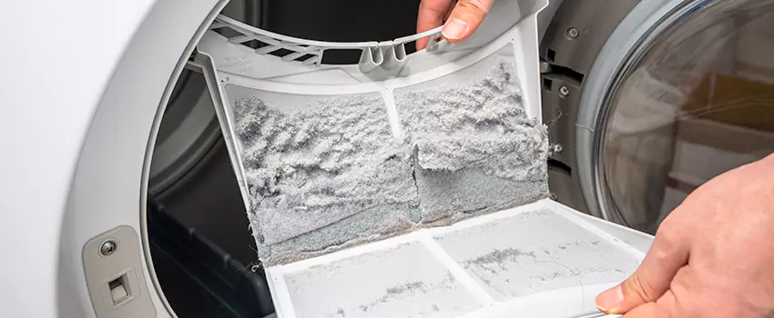 Best Dryer Lint Removal Company in Snellville, Georgia