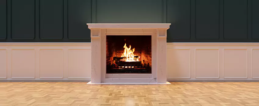 Napoleon Electric Fireplaces Inspection Service in Snellville, Georgia
