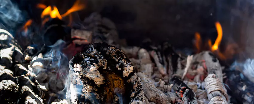 Creosote Removal Experts in Snellville, GA